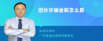 团伙诈骗金额怎么算