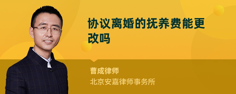 协议离婚的抚养费能更改吗