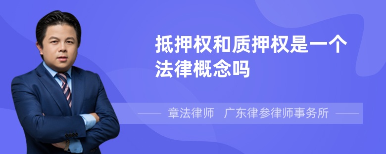 抵押权和质押权是一个法律概念吗