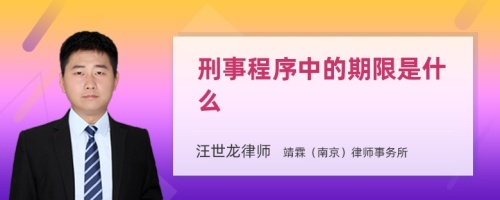 刑事程序中的期限是什么