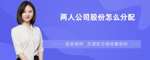 两人公司股份怎么分配