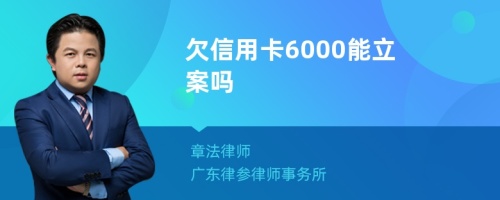 欠信用卡6000能立案吗