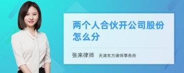 两个人合伙开公司股份怎么分