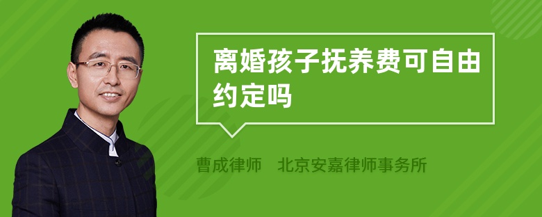 离婚孩子抚养费可自由约定吗