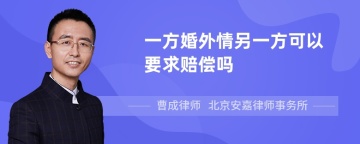 一方婚外情另一方可以要求赔偿吗