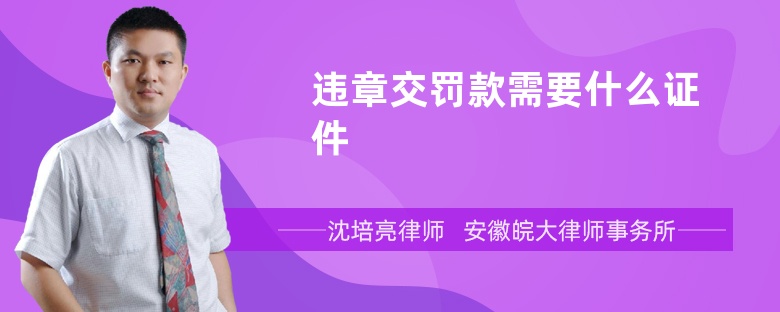 违章交罚款需要什么证件