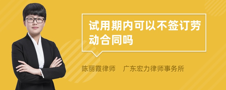 试用期内可以不签订劳动合同吗