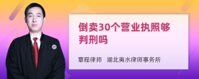 倒卖30个营业执照够判刑吗