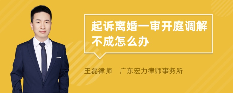 起诉离婚一审开庭调解不成怎么办