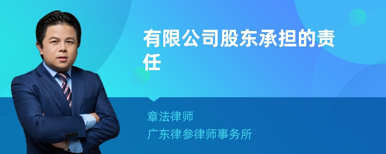 有限公司股东承担的责任