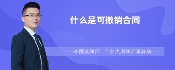 什么是可撤销合同