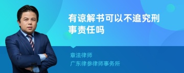 有谅解书可以不追究刑事责任吗