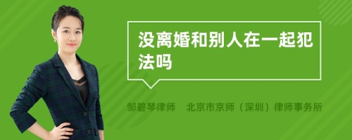 没离婚和别人在一起犯法吗