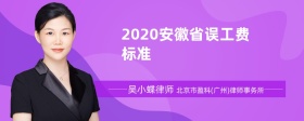 2020安徽省误工费标准