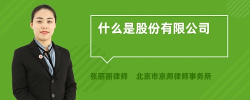 什么是股份有限公司