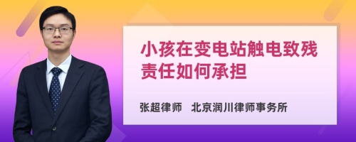 小孩在变电站触电致残责任如何承担