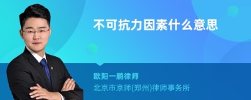 不可抗力因素什么意思