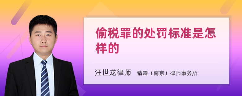 偷税罪的处罚标准是怎样的