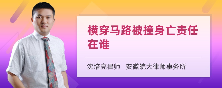 横穿马路被撞身亡责任在谁