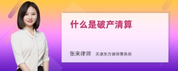 什么是破产清算