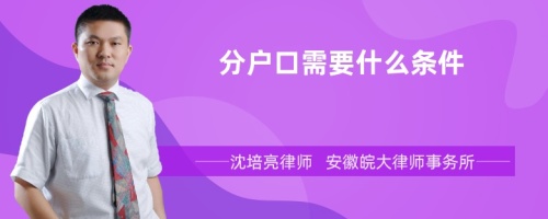 分户口需要什么条件