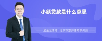 小额贷款是什么意思