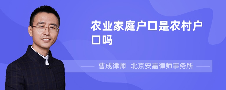 农业家庭户口是农村户口吗