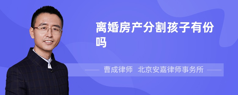 离婚房产分割孩子有份吗