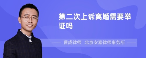 第二次上诉离婚需要举证吗