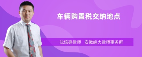 车辆购置税交纳地点