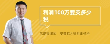 利润100万要交多少税