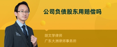 公司负债股东用赔偿吗