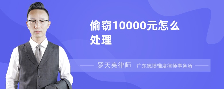 偷窃10000元怎么处理