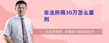 非法所得30万怎么量刑