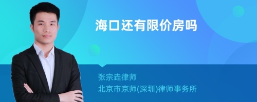 海口还有限价房吗