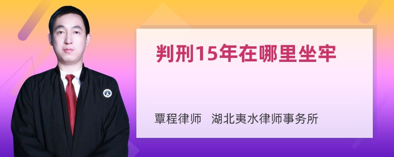 判刑15年在哪里坐牢