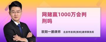 网赌赢1000万会判刑吗