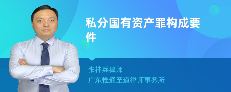 私分国有资产罪构成要件