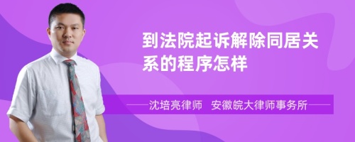 到法院起诉解除同居关系的程序怎样