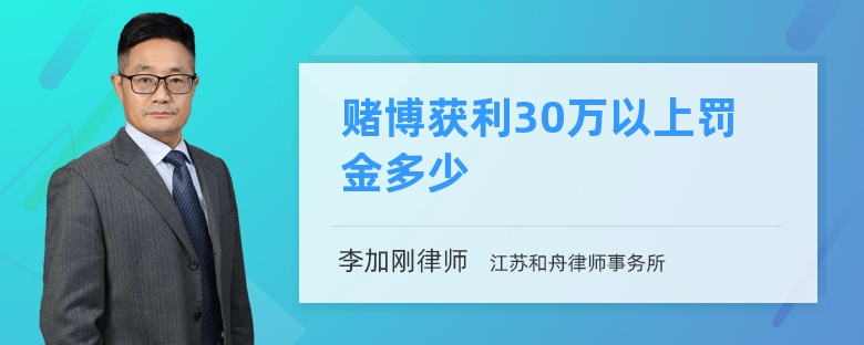 赌博获利30万以上罚金多少