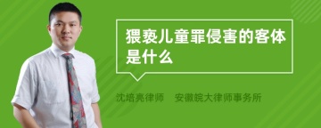 猥亵儿童罪侵害的客体是什么