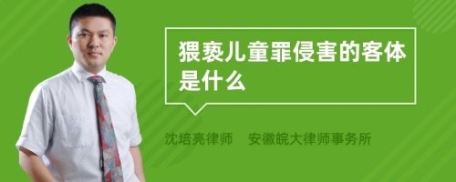 猥亵儿童罪侵害的客体是什么