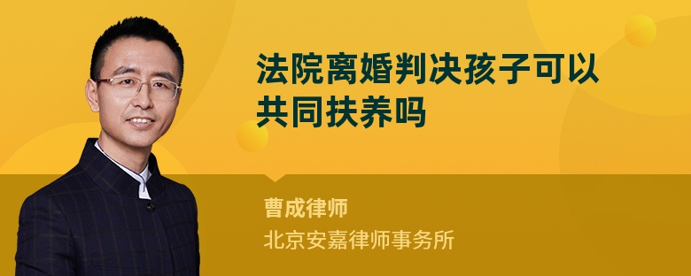 法院离婚判决孩子可以共同扶养吗