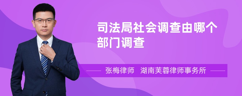 司法局社会调查由哪个部门调查