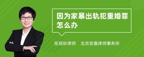 因为家暴出轨犯重婚罪怎么办