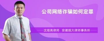 公司网络诈骗如何定罪