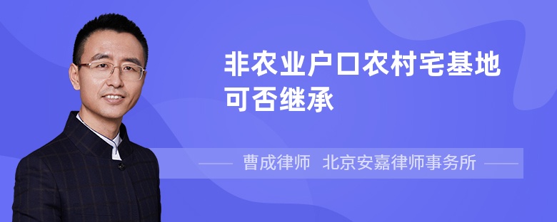 非农业户口农村宅基地可否继承