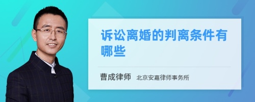 诉讼离婚的判离条件有哪些