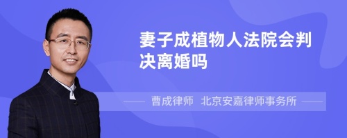 妻子成植物人法院会判决离婚吗