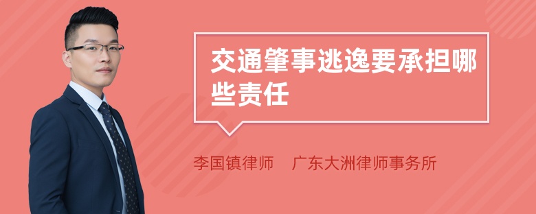 交通肇事逃逸要承担哪些责任